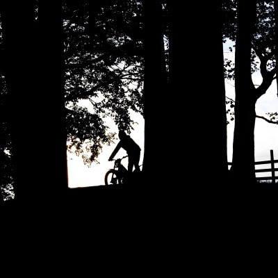 a large tree in a dark room